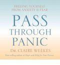 Pass Through Panic: Freeing Yourself from Anxiety and Fear