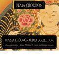 The Pema Chodron Collection