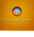 The Matrix Energetics Experience: A Step-by-Step Guide to Working with Subtle Energy