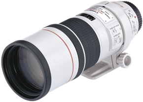 Canon EF 300mm f/4L IS USM