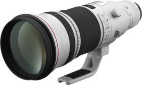 Canon EF 500mm f/4L IS II USM