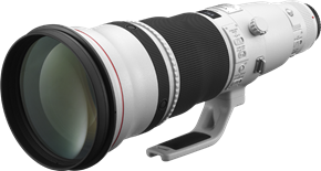 Canon EF 600mm f/4L IS II USM