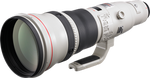 Canon EF 800mm f/5.6L IS USM
