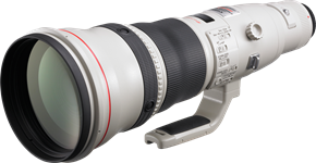 Canon EF 800mm f/5.6L IS USM